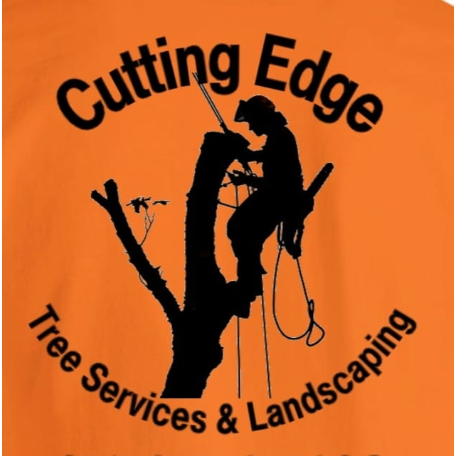 Tree Service Kennerdell, PA the Best In Town Opendi Tree Service Kennerdell, PA the Best In Town Opendi