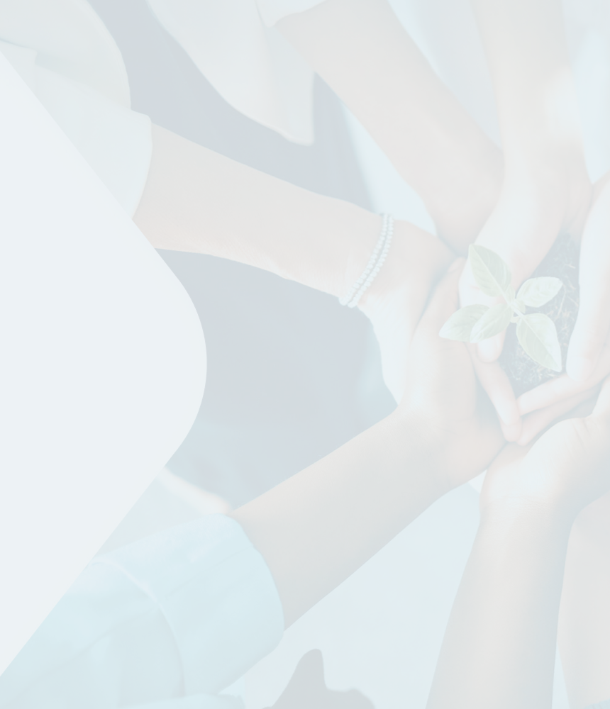 Top-down view of a group of people holding a plant.