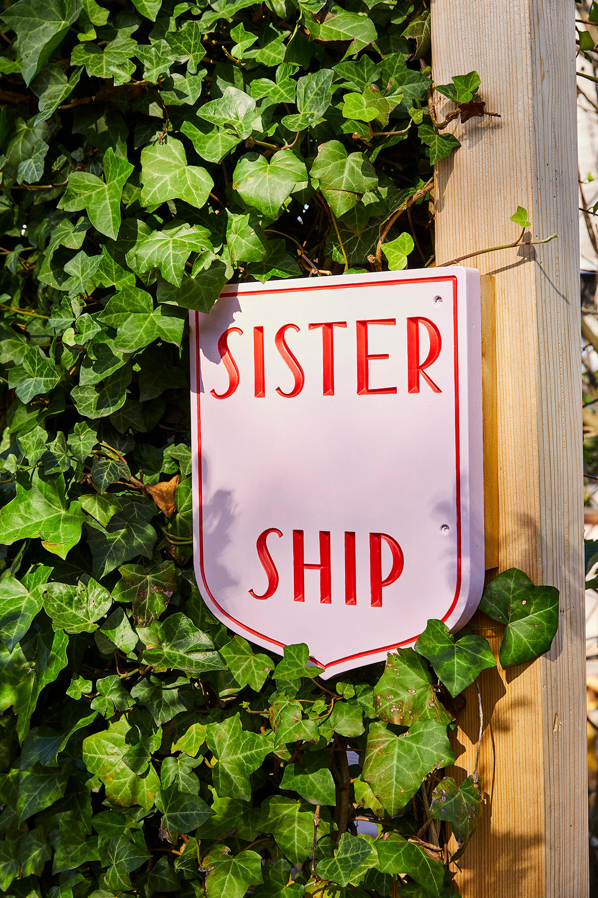 Image 7 | Sister Ship