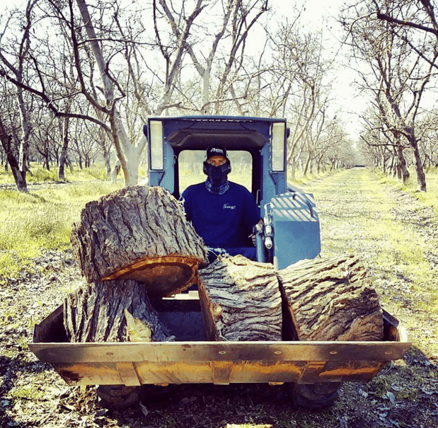 Images John Ayers Tree Surgeons