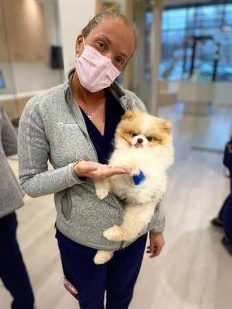 Images Petfolk Veterinary & Urgent Care - Ballantyne