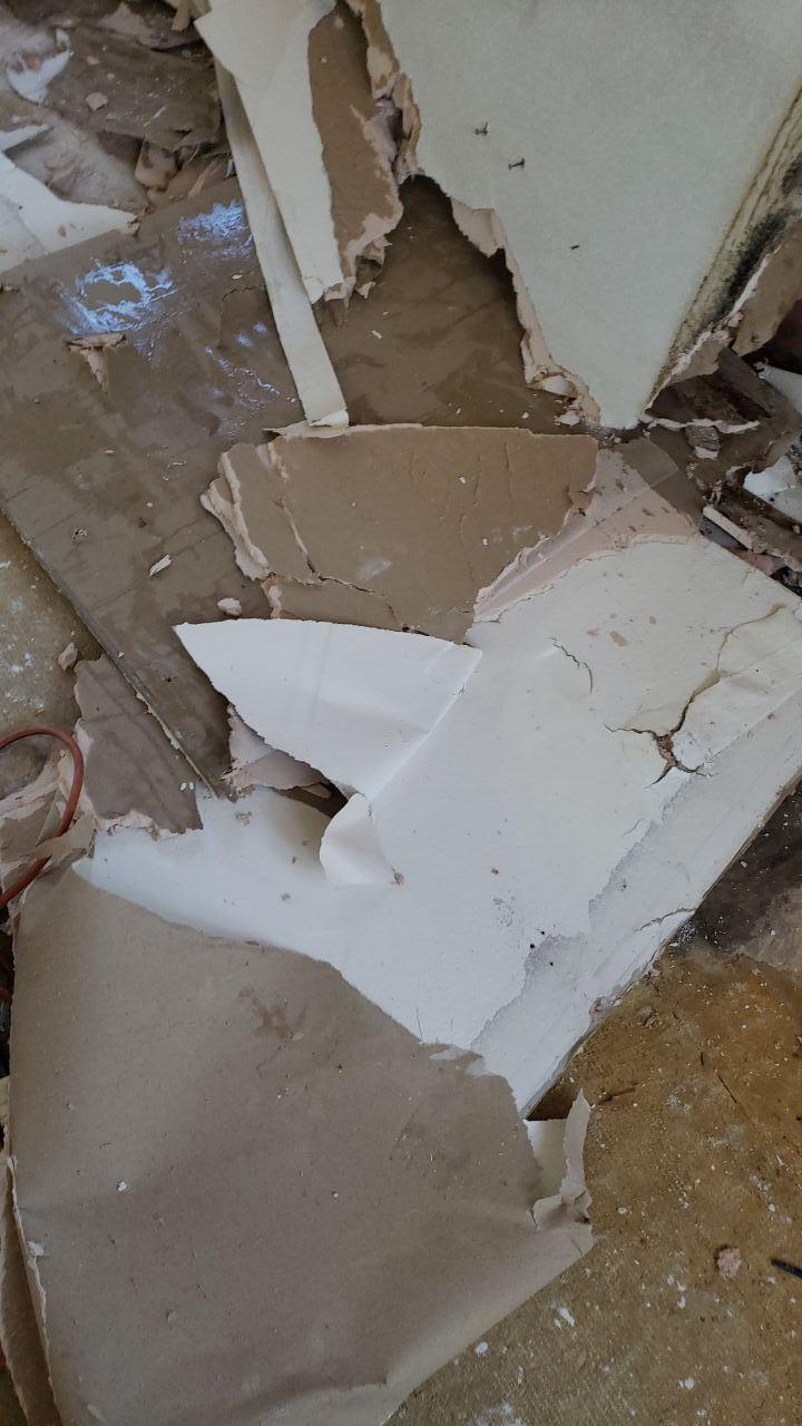 water removal experts