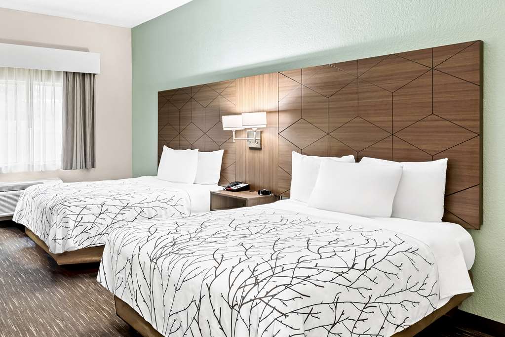 Double Guest Room