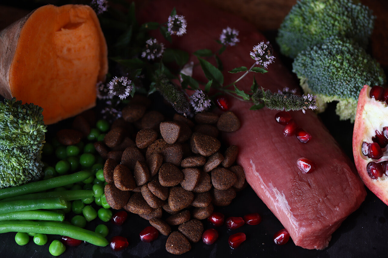 Bilder Green Pet Shop