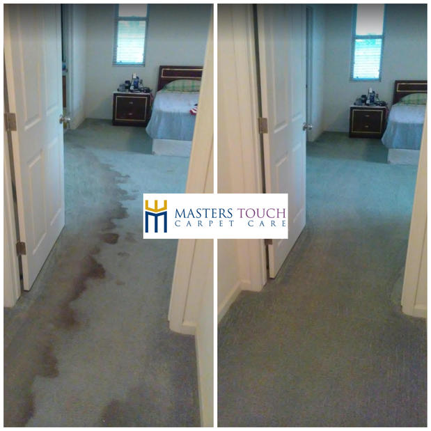 Images Masters Touch Carpet Care