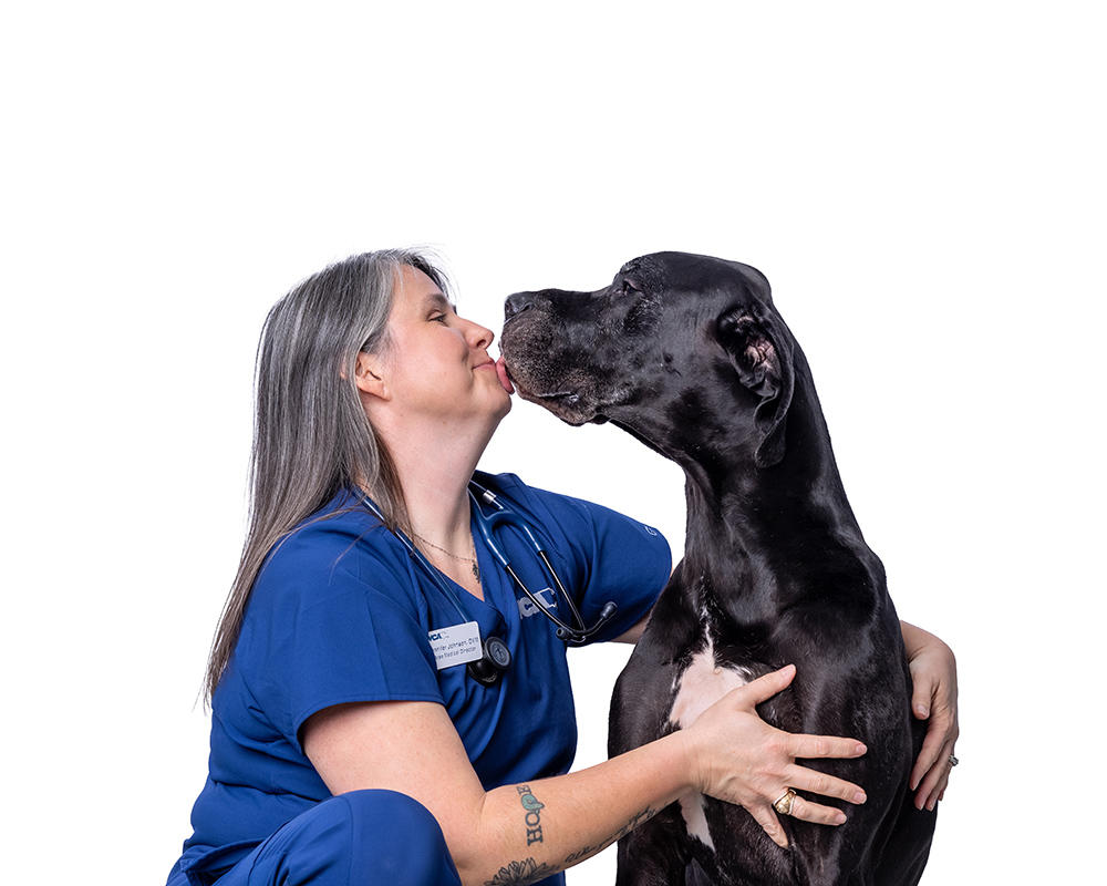 Image 10 | VCA Health Associates Animal Hospital