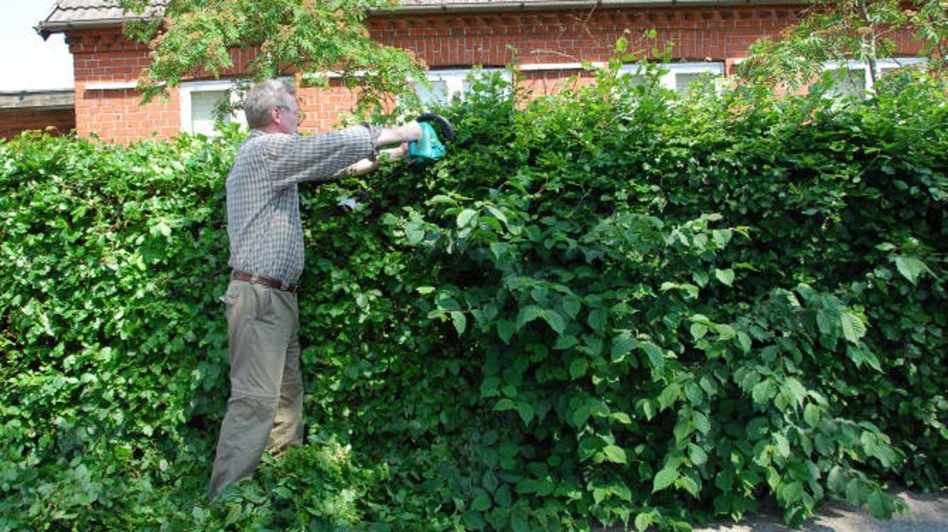 Images Tårs Tømmerhandel A/S