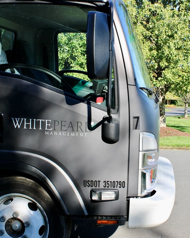 Images White Pearl Management