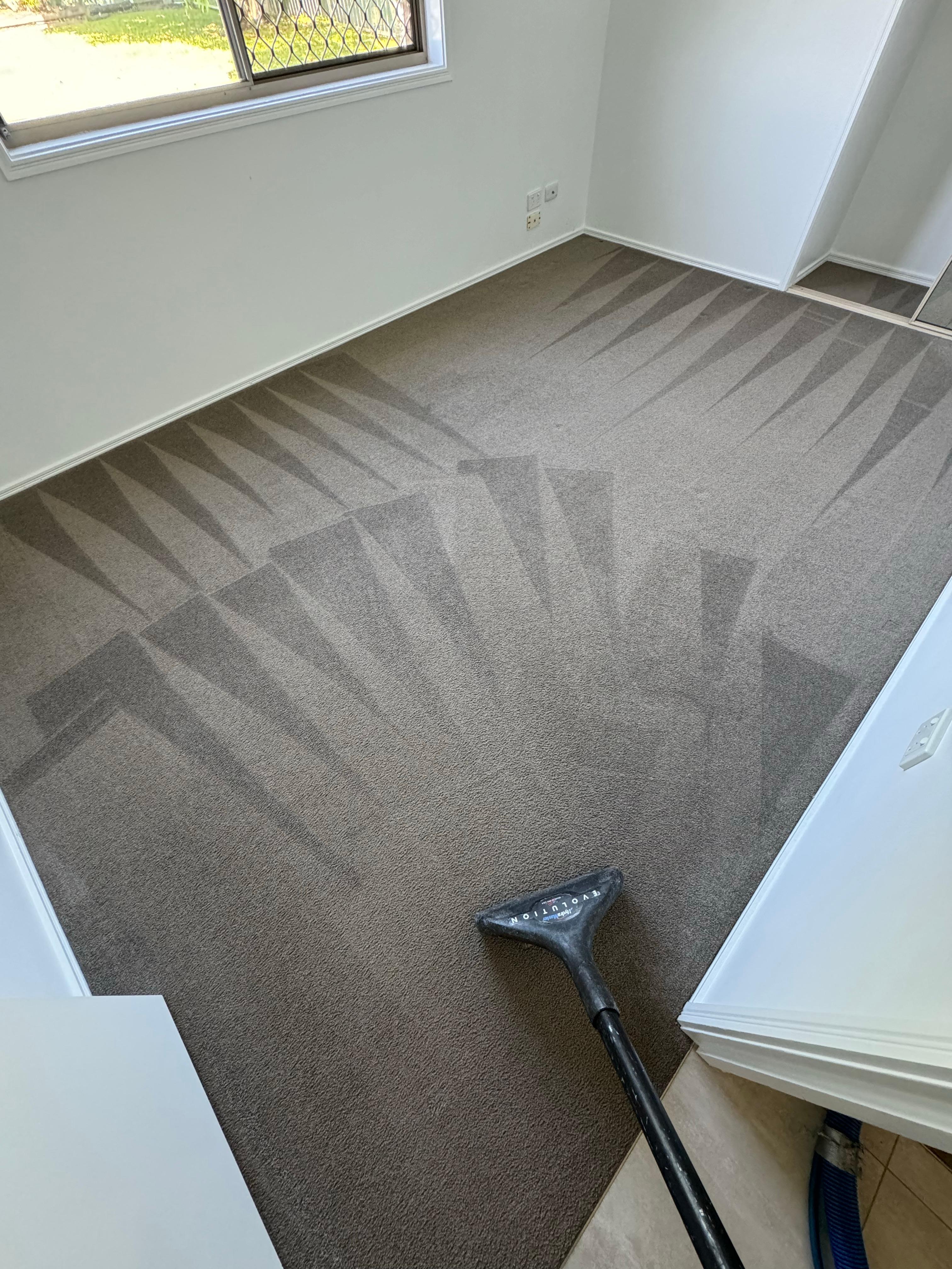 Images Eco Carpet Cleaning Gold Coast
