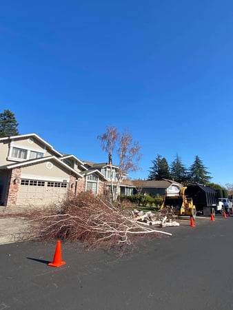 Images Am/Pm Tree Service, Inc.