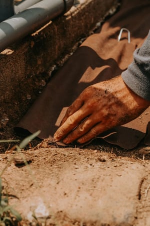 Images Freedom Lawn & Landscape