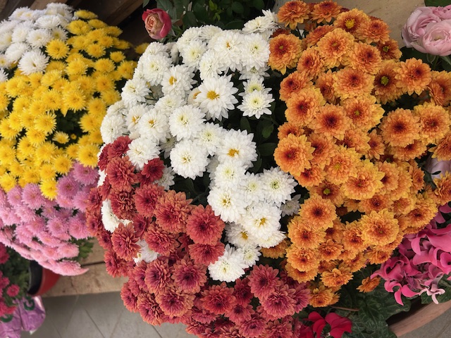 Images K.E.M. Impianti