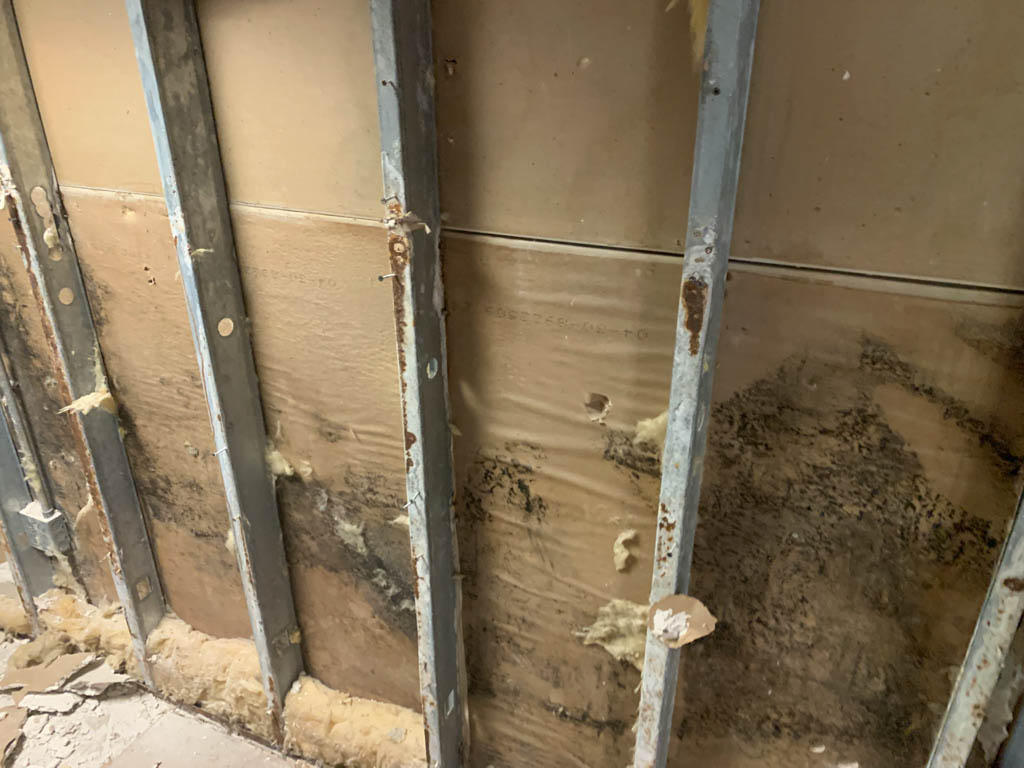 When you call SERVPRO of Jacksonville South after a water occurrence in your Deerwood, FL home or business, we can quickly and effectively remove mold from your property, easing the recovery process. Please give us a call.