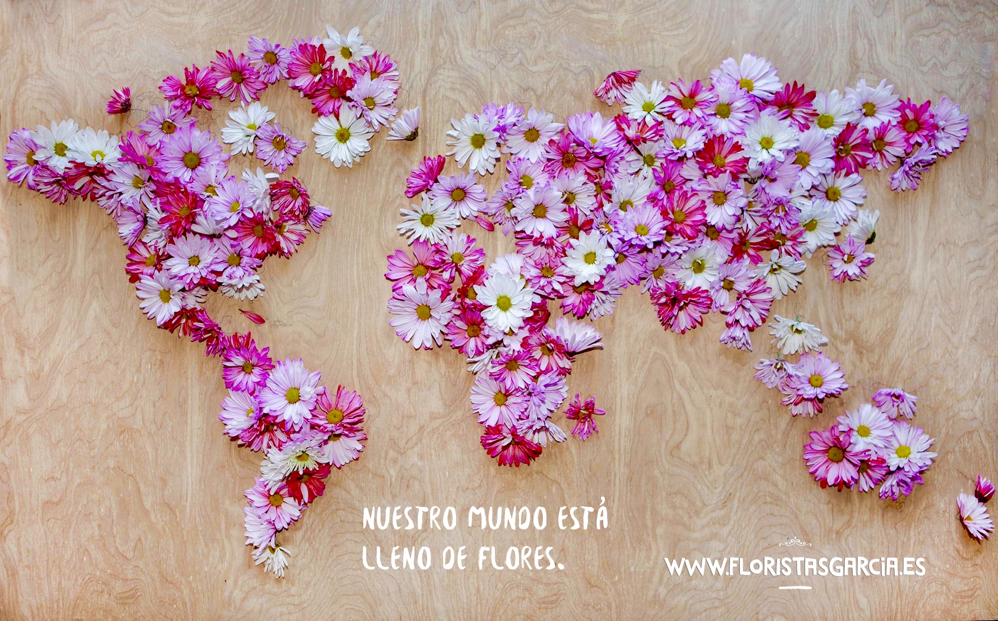 Images Floristas García