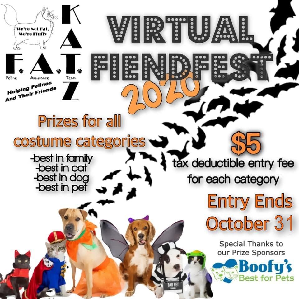 Halloween contest for pets!