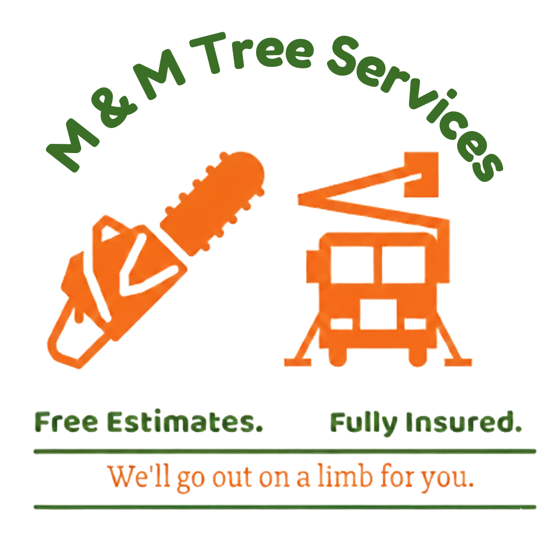 M & M Tree Services LLC