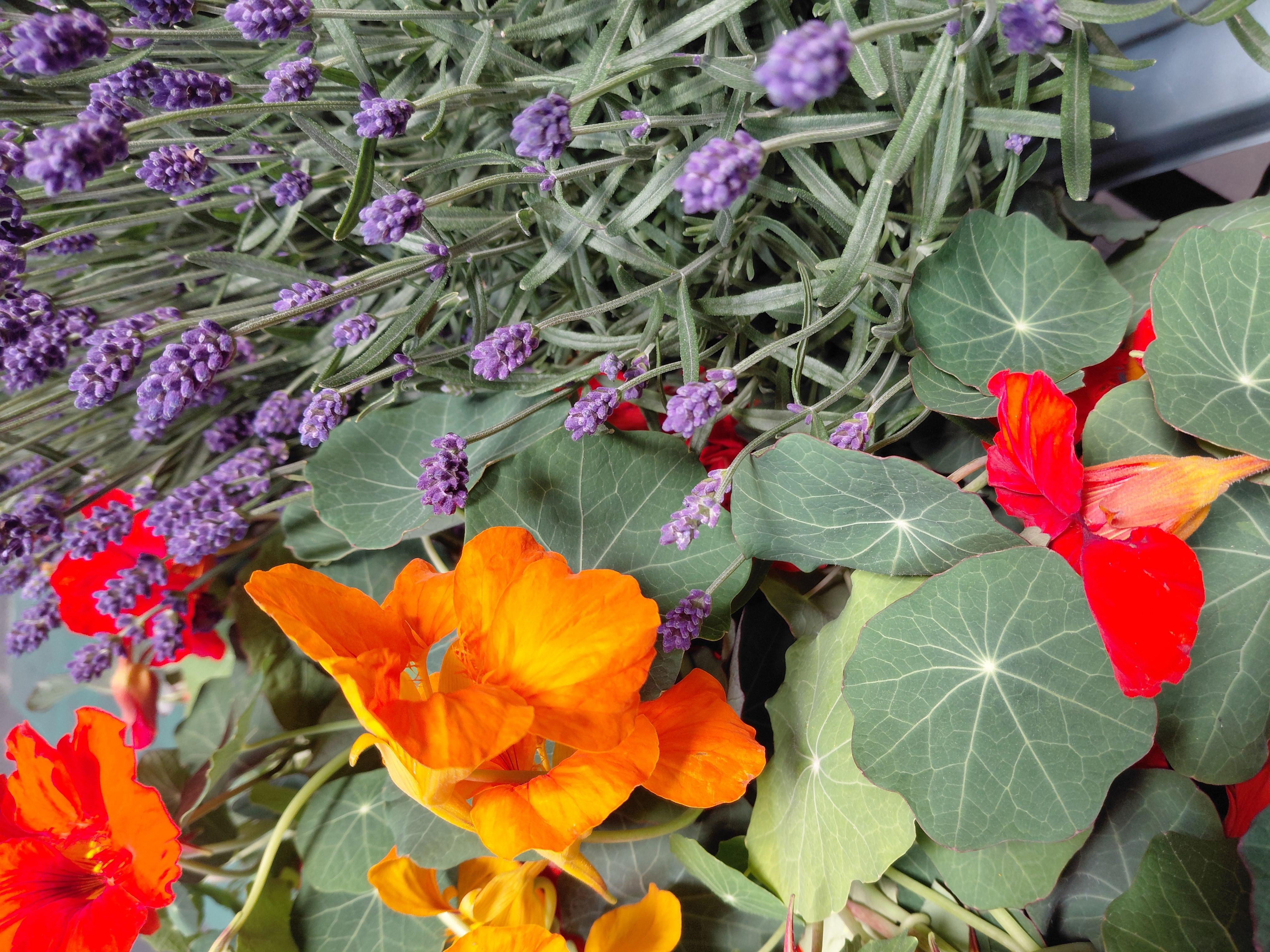 Blumen & Dekoration | Rita Roth | München, Wörthstraße 15 in München