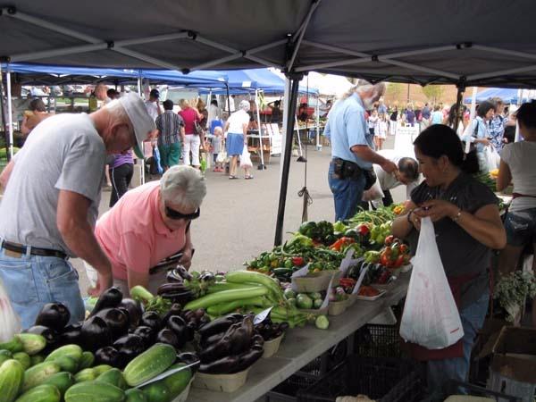 Our vendors truly believe that their hard work is dedicated and driven by three things – its all about the family, the fun, and the fresh produce. Our local visitors, and vendors, love the community driven experience, and truly enjoy everything the Maple Grove Farmers Market has to offer.