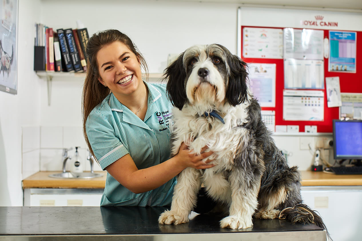 Images Broughton Veterinary Group, Leicester