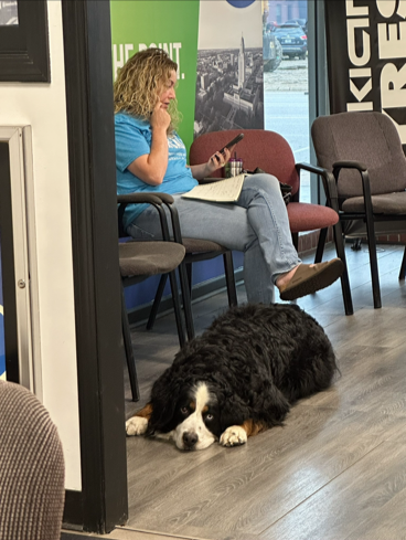 Apollo relaxing with a customer at Walker Tire Point S in Downtown Lincoln. 