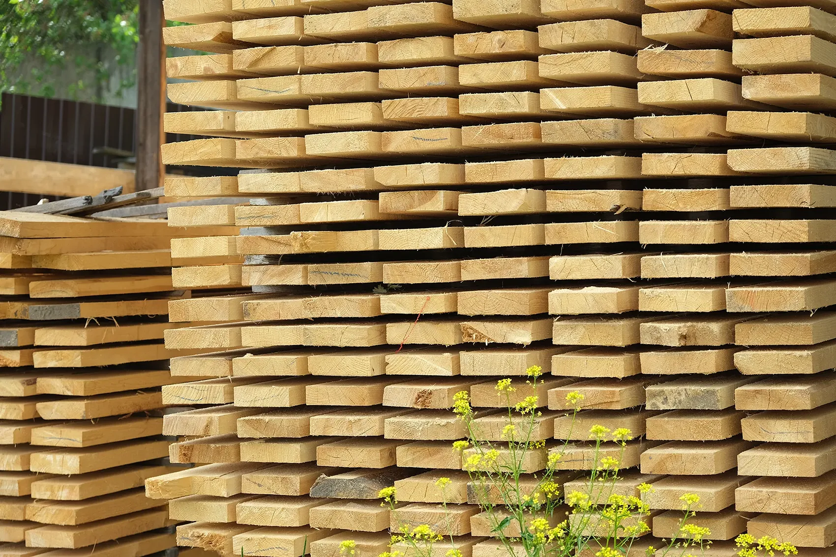 Bild 2 von Sägewerk Hörmandinger
