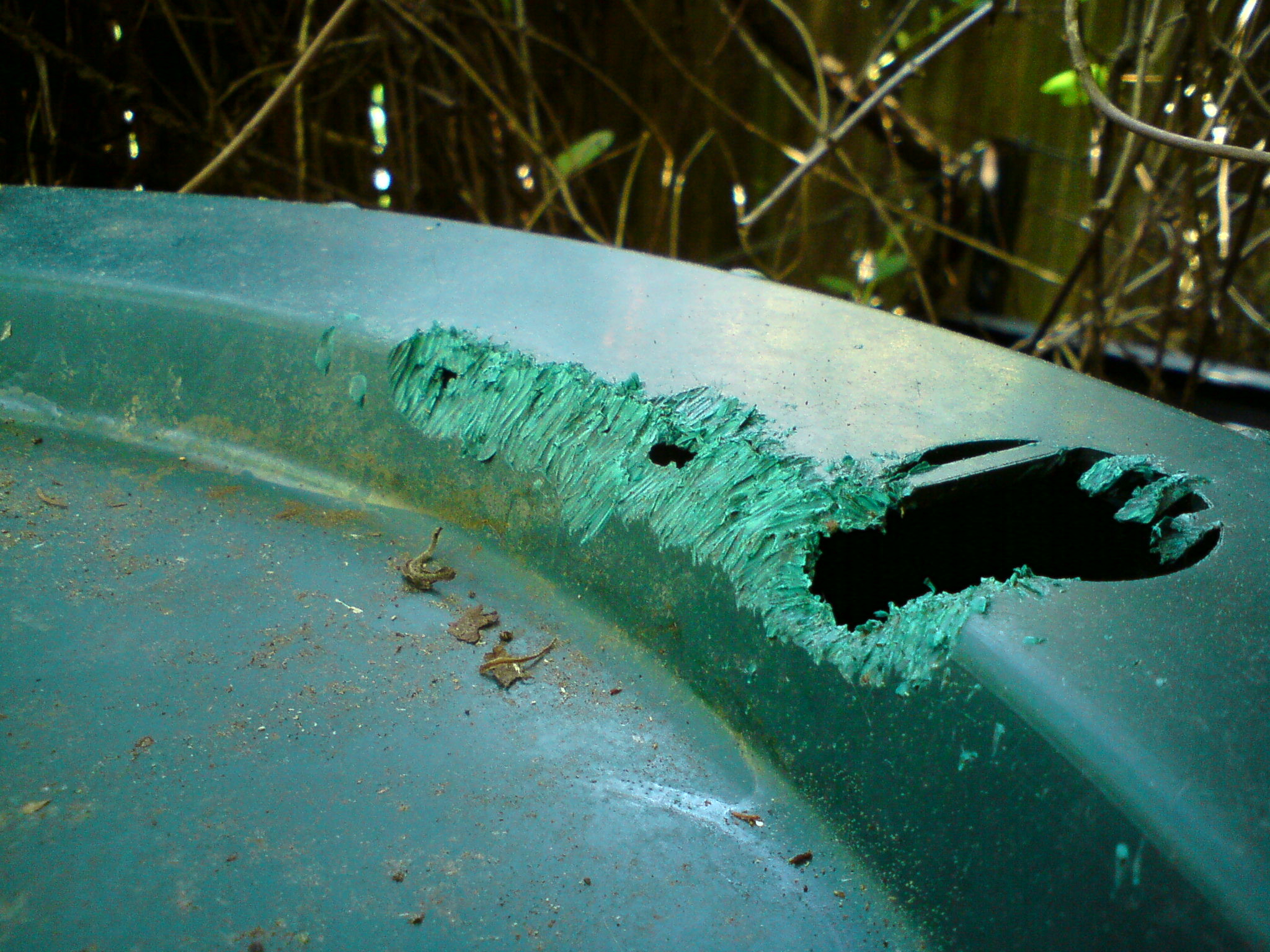 Images Systems Pest Management Pty Ltd