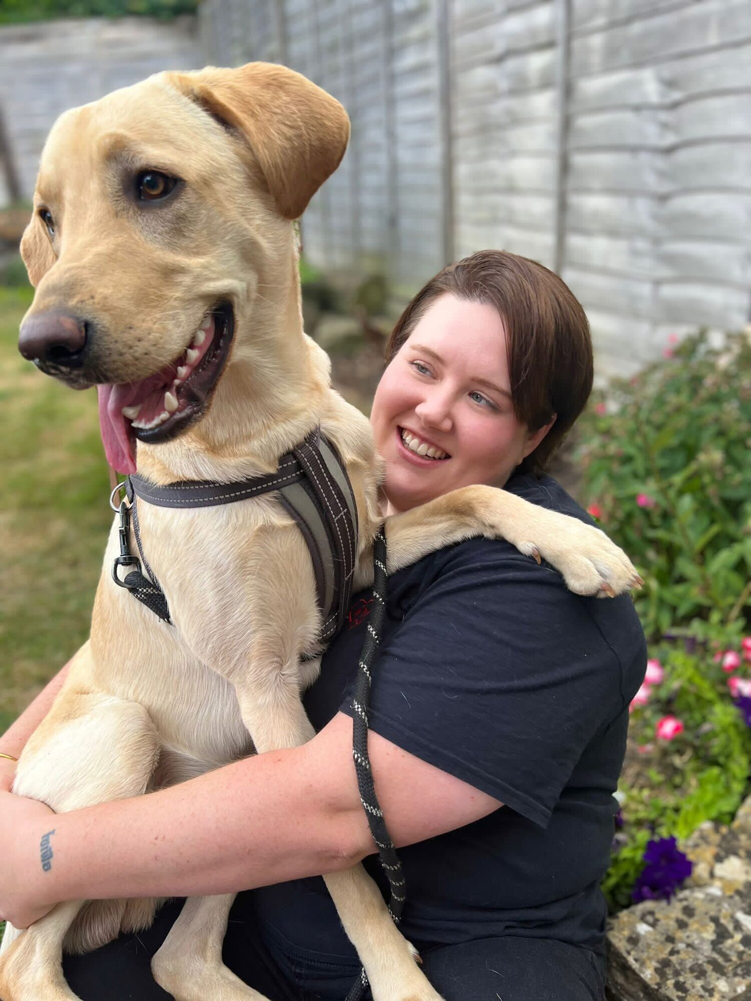 Images The Bristol Bark Co.