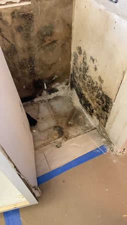 Images Voda Cleaning & Restoration