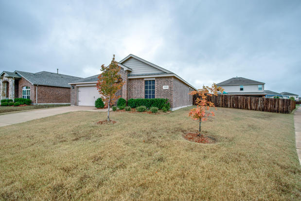 Images Marcus Ku, Dallas Realtor