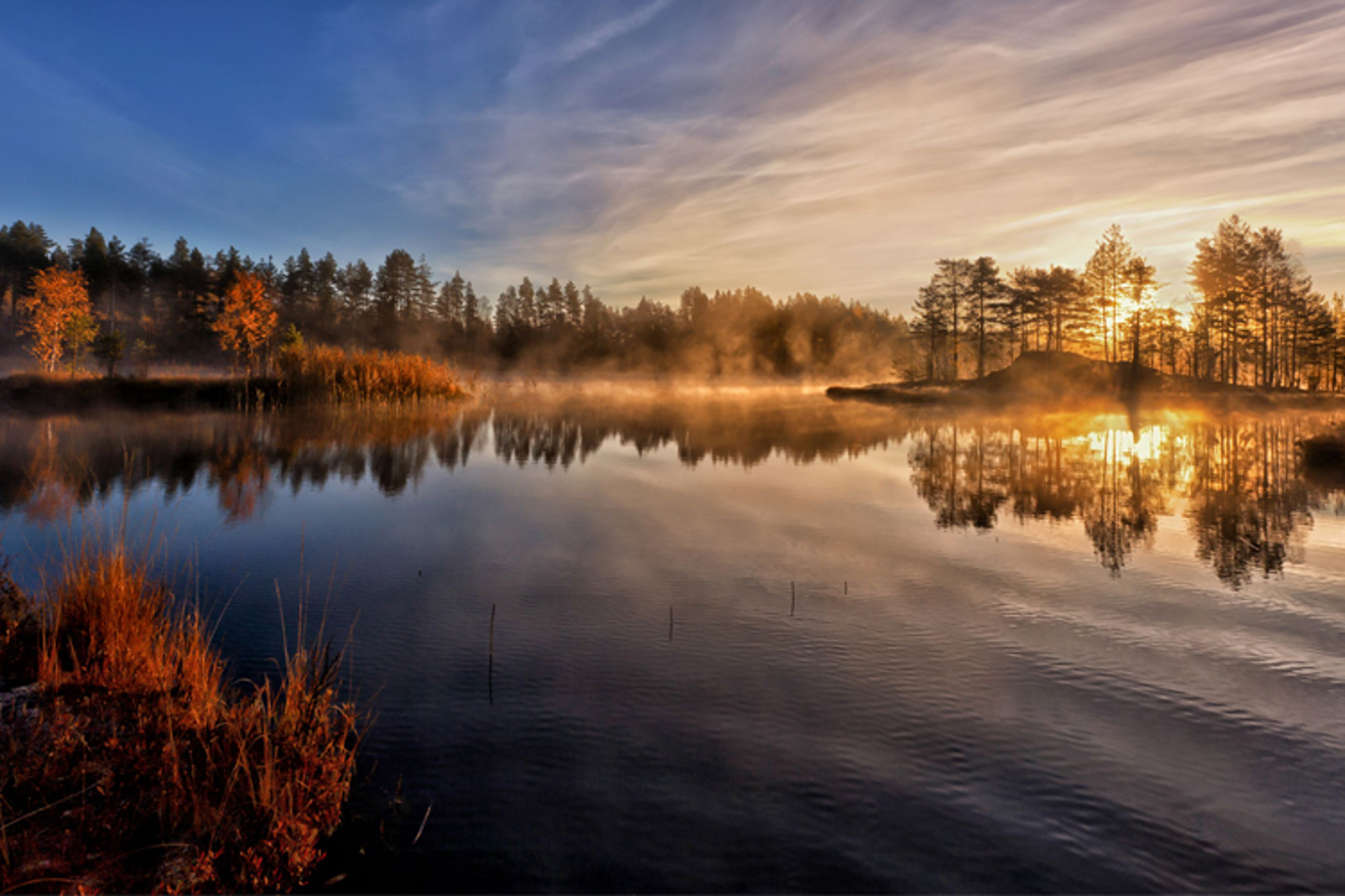 Images Rønnaug's Begravelsesbyrå