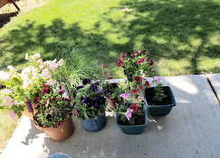 Mogote Meadow Cabins & RV Park Image