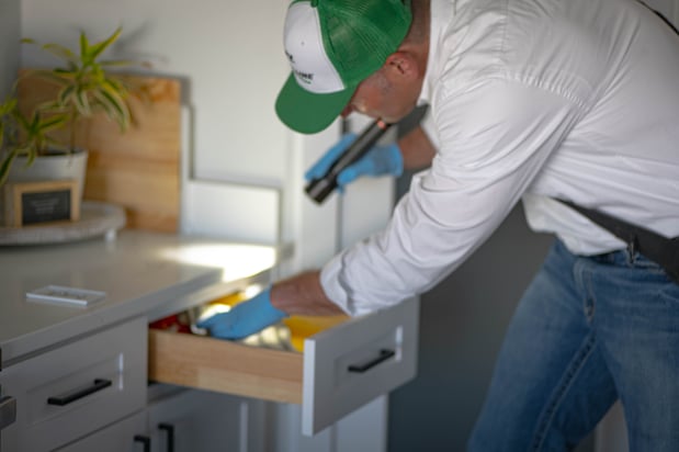 Images First Line Pest Defense