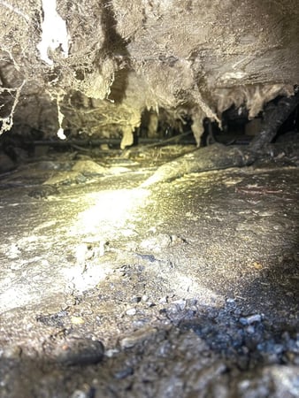 Images Rutman Restoration