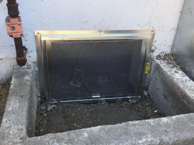 Images Rodent Solution