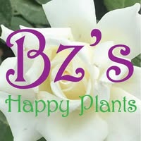 Images Bz's Happy Plants