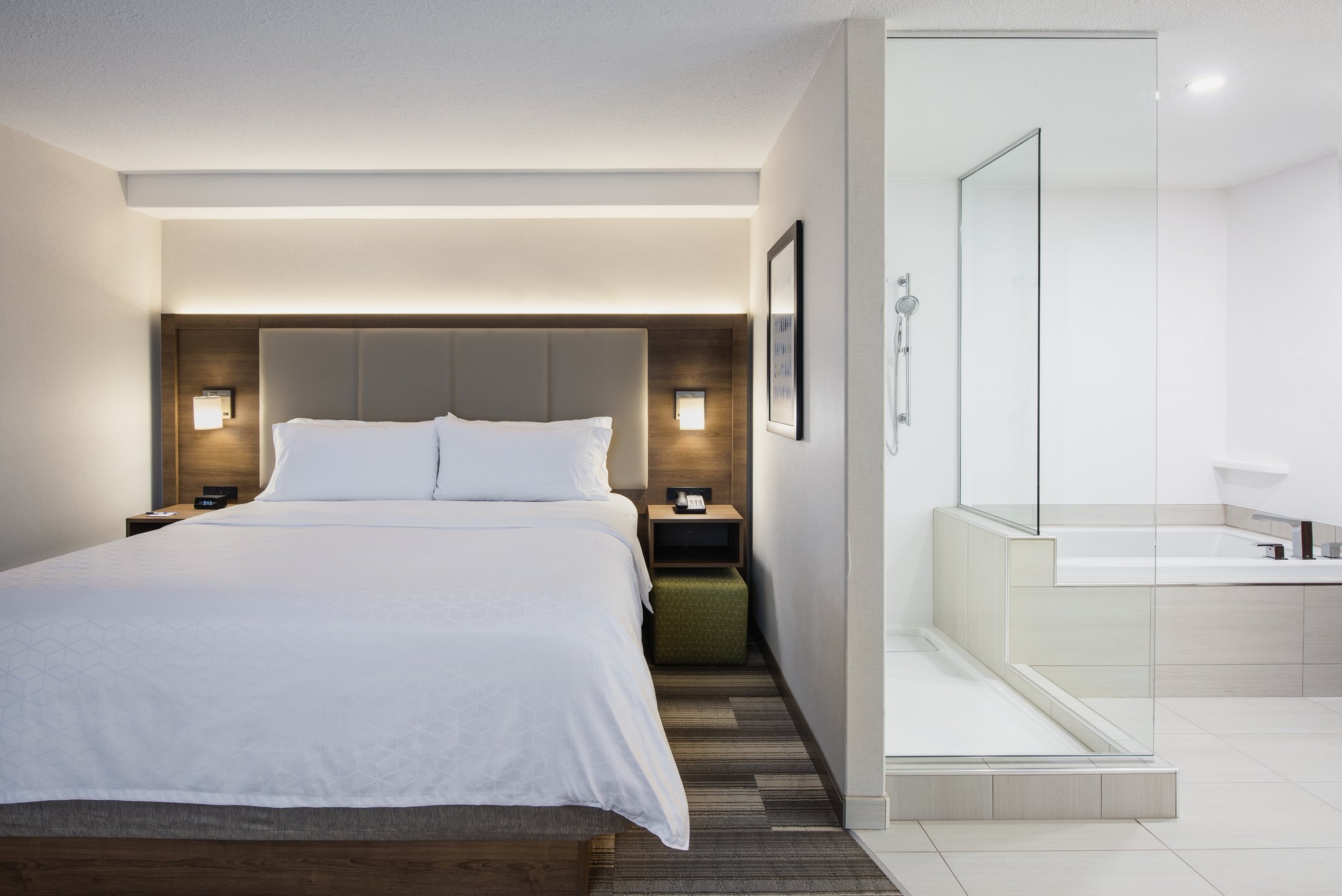 Images Holiday Inn Express & Suites Saskatoon Centre by IHG