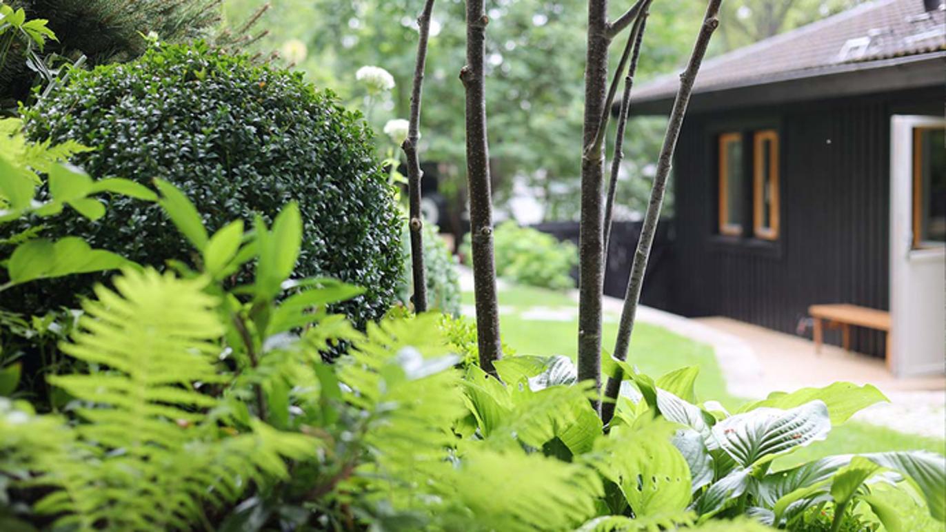 Images Daniel Terblanche Landskap och Interiör AB