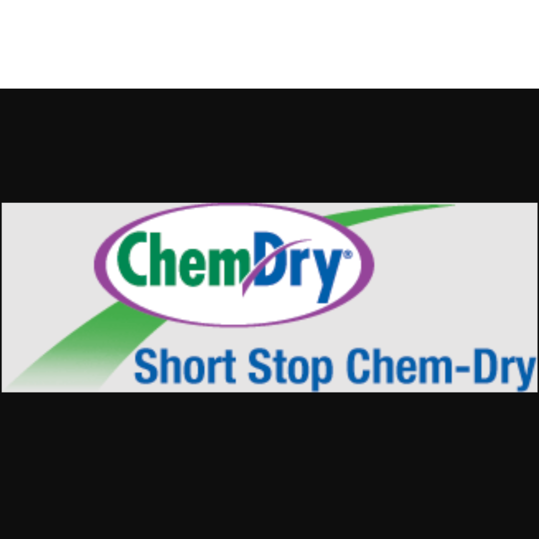 Short Stop Chem-Dry Clinton Twp (586)612-1830