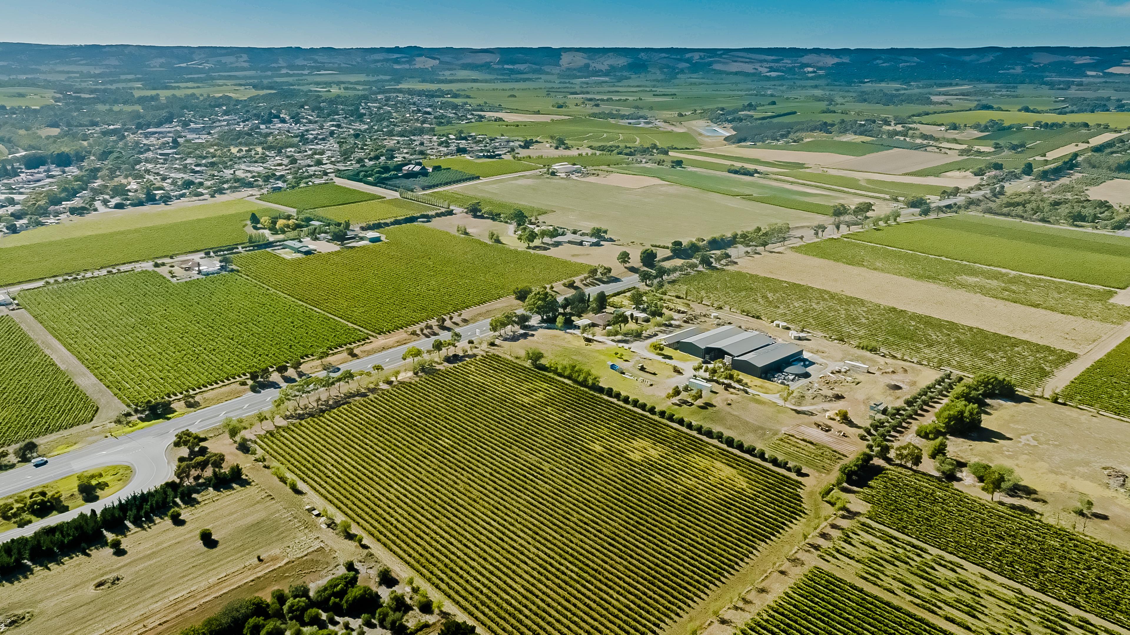 Images Curtis Winery