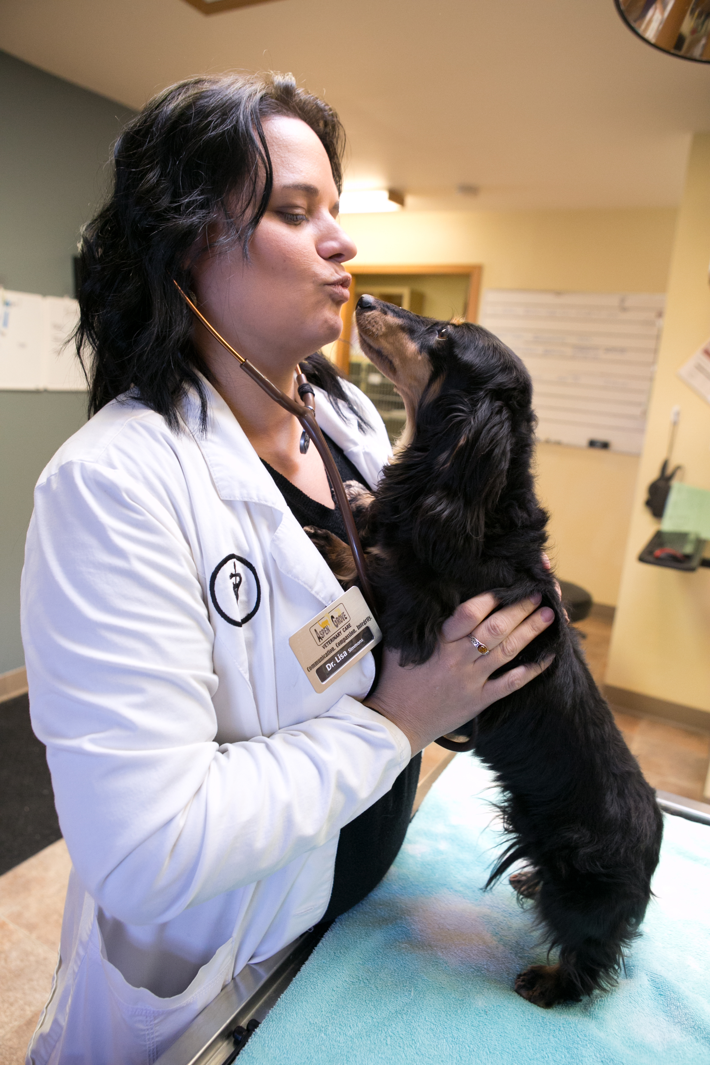 Aspen Grove Vet Care Coupons near me in Fort Collins | 8coupons