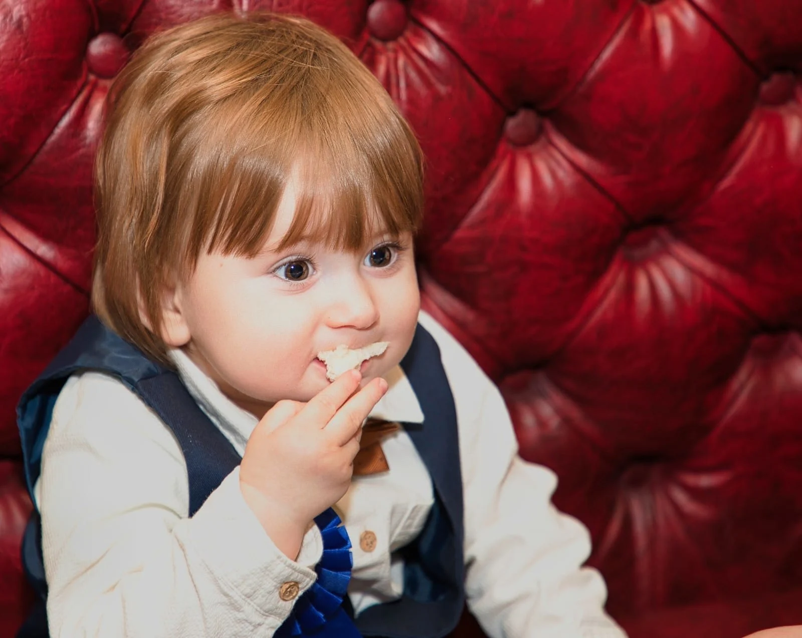 Images The Gilded Lens Photography Ltd