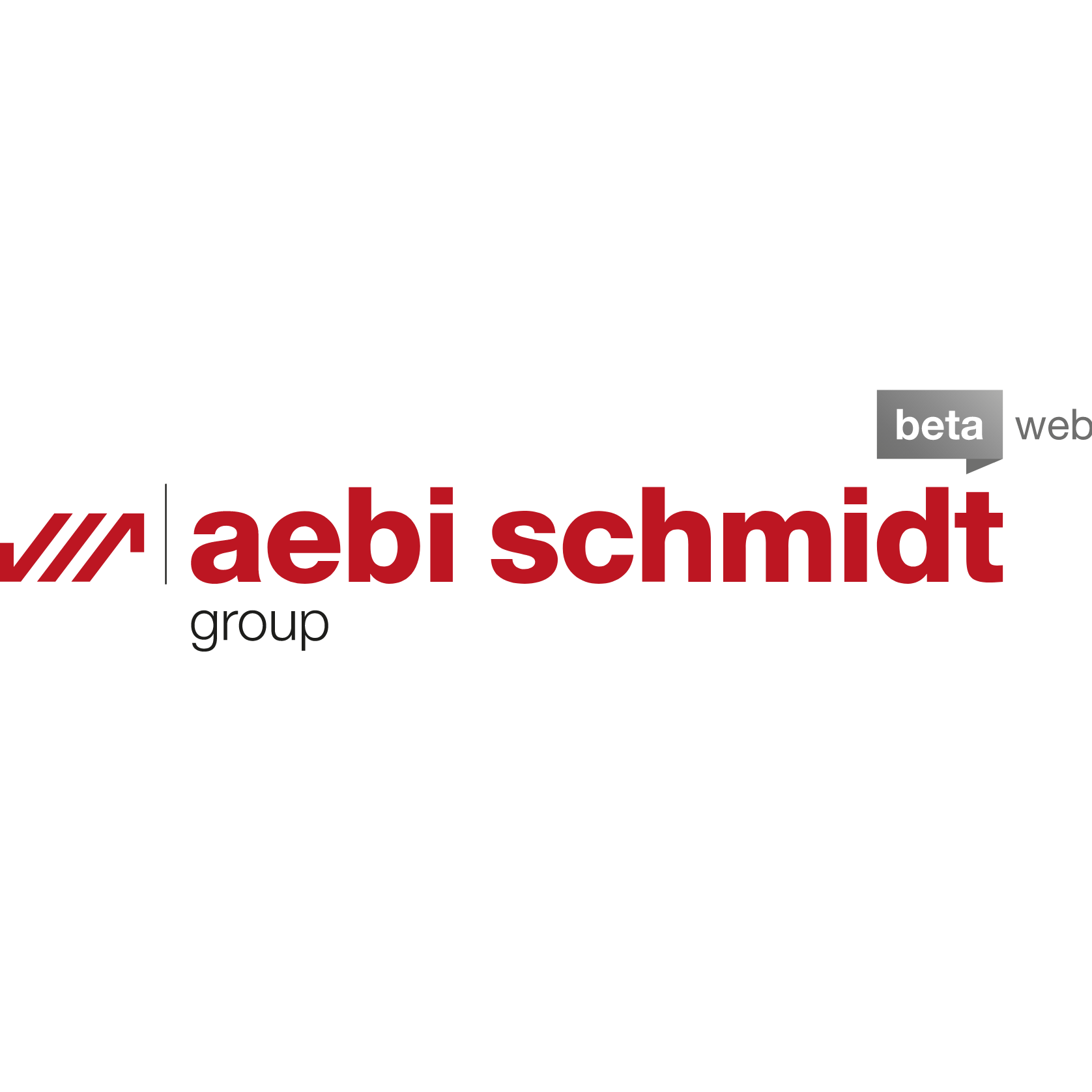 Logo Aebi Schmidt Deutschland GmbH