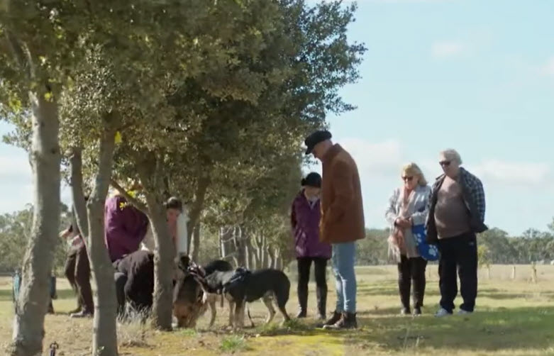 Images Truffle Hunting at L'air du Wombat