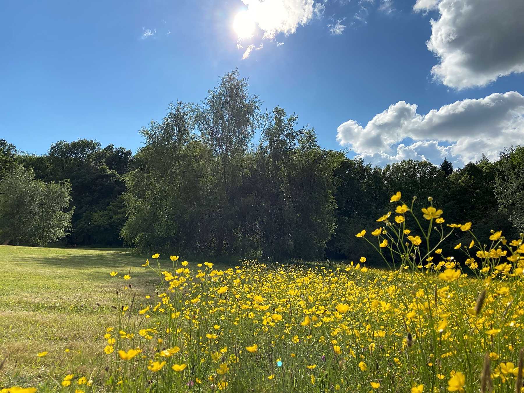 Images Haywood Farm Caravan and Camping Park