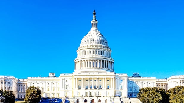 Political and Lobbying Activities
