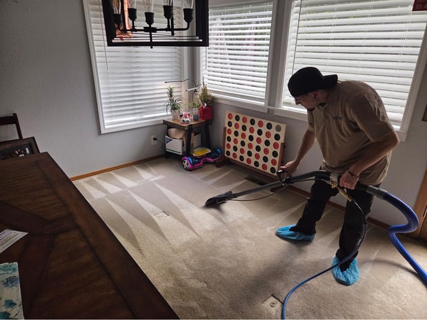 Images EcoPure Carpet Care
