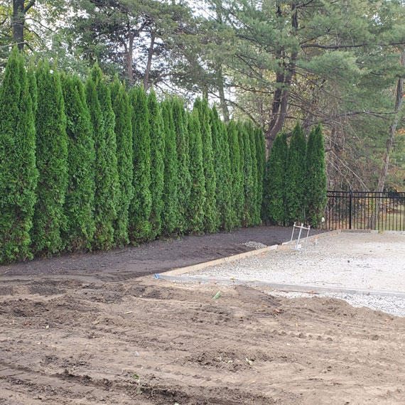 M&E Irrigation and Hardscaping - Landscaping