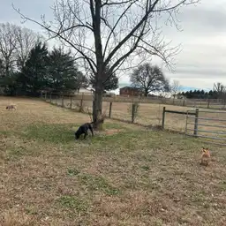 Sniffspot Yolistone Image