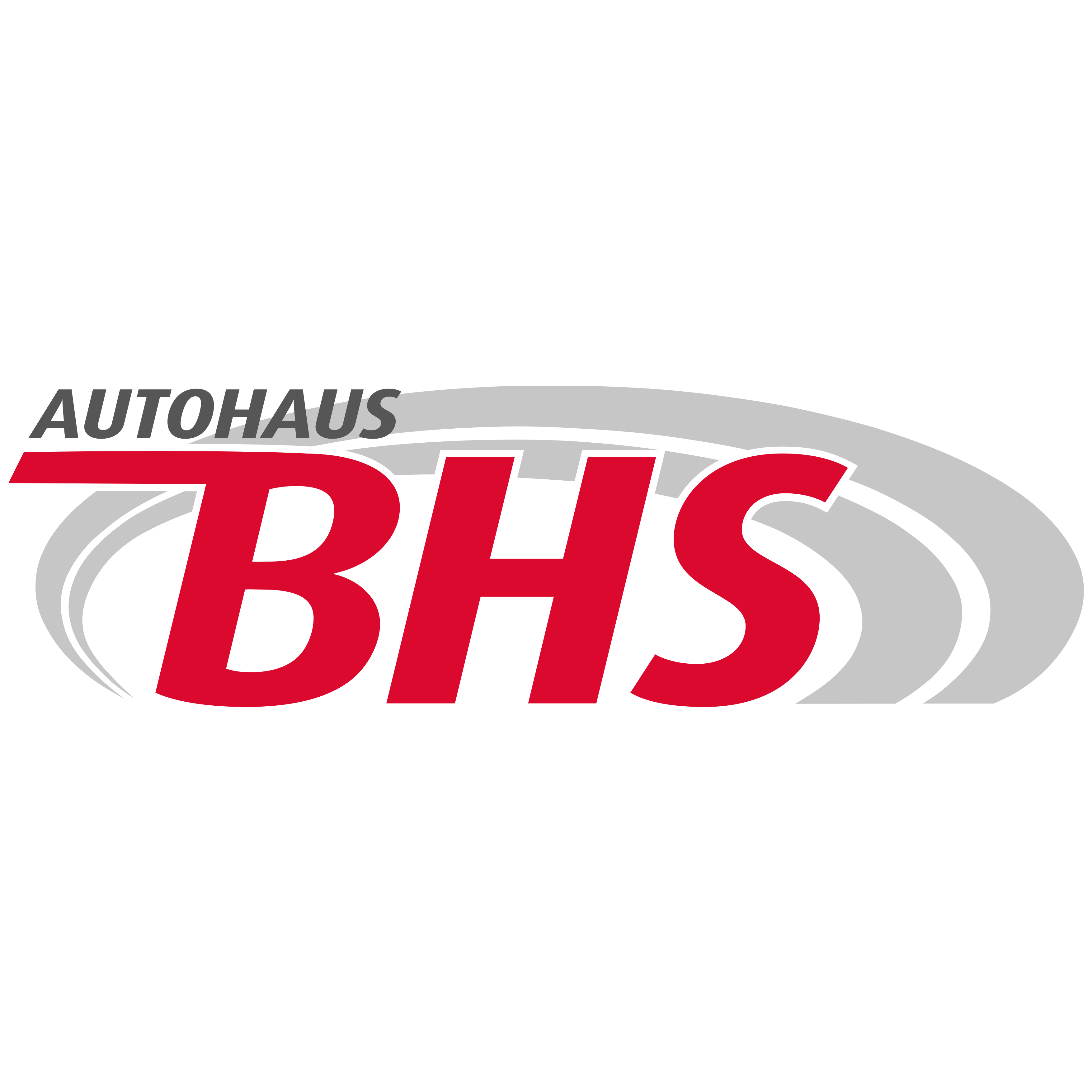 BHS Handels- u. Betriebs GmbH in Zwickau - Logo