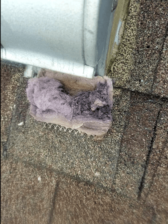 Images Lint Doctor
